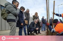 La Paeria plantarà més de 600 arbres a Lleida aquest hivern