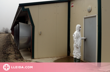 ⏯️ Inspeccionen les granges situades a la zona de vigilància pel cas de grip aviària d'Arbeca