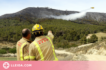 Els Agents Rurals xifren en 453 les hectàrees cremades per l'incendi de la Franja