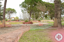 La renaturalització del Parc de Les Basses contempla la demolició del paviment i la construcció de dues basses