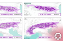 Canvi climàtic: arbres a major altitud en quatre serralades europees, segons un estudi de la UdL