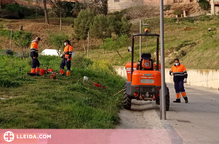 'Treball als Barris' de Balaguer per crear 26 llocs de treball