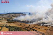 ⏯️ Els Bombers donen per controlat l'incendi de Vallbona de les Monges
