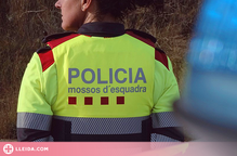 Tres detinguts per vuit robatoris amb força en domicilis de Lleida