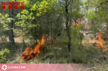 ⏯️ Els Bombers controlen un incendi de vegetació a Lladurs i dos focs de llamp a Tivissa