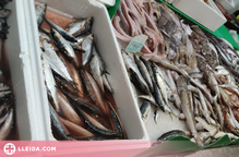 Retiren més de 72 quilos de peix mal conservat en una botiga de Lleida
