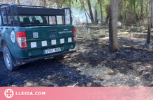 Un incendi crema 10 hectàrees de vegetació entre Almenar i Algerri