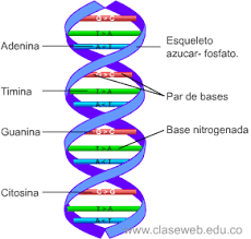 ¿A qué viene esa vanagloria?