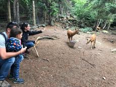 Sorteig Entrada Doble per a visitar la "Fauna dels Pirineus" a MónNatura Pirineus