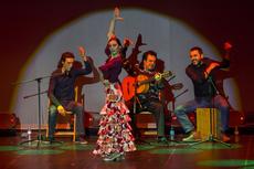 Mariona Puigdemasa flamenco