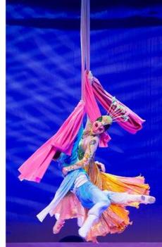 Gran circ acrobàtic nacional de la Xina