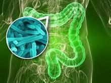 Dolor abdominal intestinos colon irritable enfermedad de Crohn gases hinchazón vientre inflado inflamación intestinal diarreas estreñimiento flora intestinal defensas