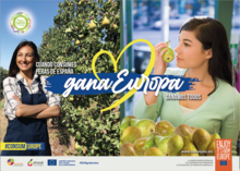 Afrucat participa a la campanya europea #EuropeWins per promocionar la fruita a Espanya, Alemanya i Bèlgica