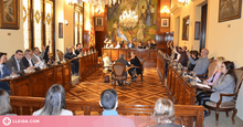 Preview Ple Diputació de Lleida