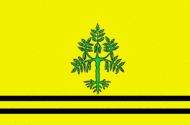 Bandera Sant Guim de Freixenet