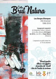 Cartell de l'exposició  '20è aniversari de la colla sardanista Brut Natura de les Borges'