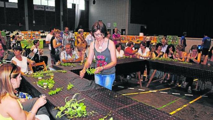 La festa del medi ambient reuneix 2.500 persones a Linyola