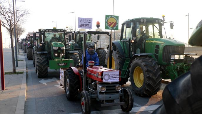 ⏯️ Agricultors llancen conills a les portes d'Acció Climàtica de Lleida com acció de protesta