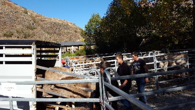 Jornada de fires i festes a la Val d’Aran i el Solsonès