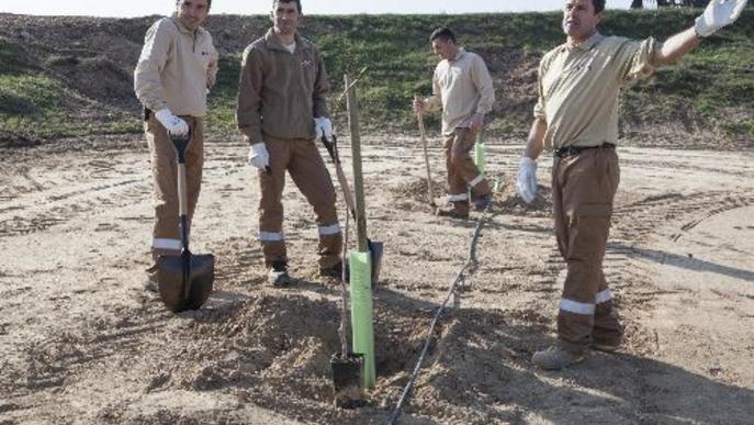 El grup Borges guanya 7,4 milions i la seua facturació global puja a 758