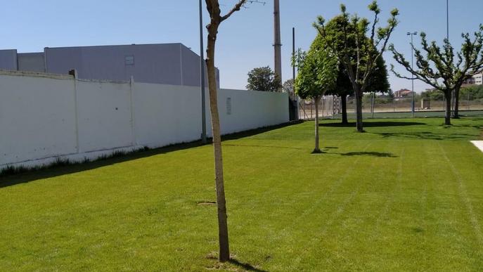 Balaguer replanta arbres arreu de la ciutat i projecta nous espais verds