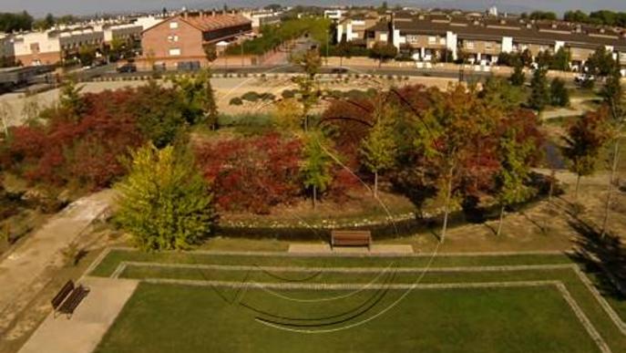 Promoció de l'Arborètum a vista de 'drone' i apadrinament d'arbres