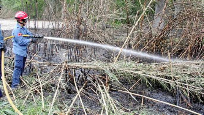 Un incendi calcina 5.000 metres quadrats de vegetació a Sudanell