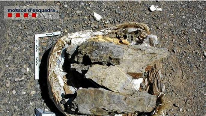 Després de l'estiu podria saber-se si el fòssil robat a Coll de Nargó és de dinosaure
