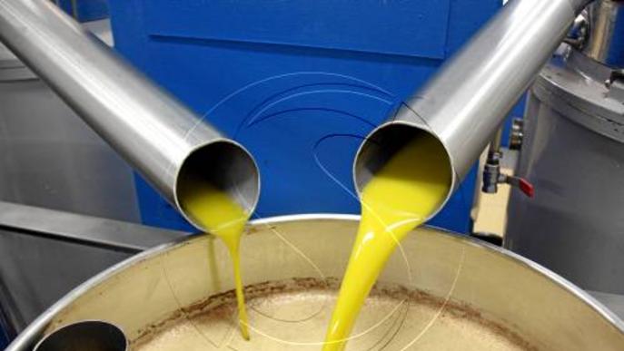El preu de l'oli d'oliva a granel s'encareix un 15% l'últim mes