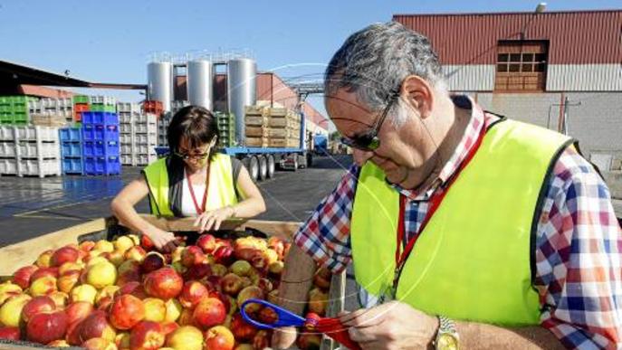 Els agricultors de Lleida exigeixen a les portes de la Comissió mesures justes