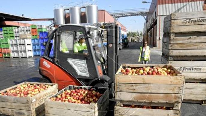 El preu de l'exportació de fruita de Lleida cau un 14,58% per quilo