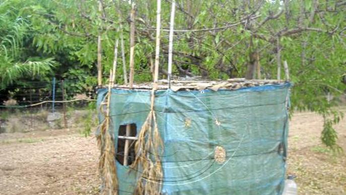 Denunciat un caçador furtiu que caçava ocells a les Garrigues