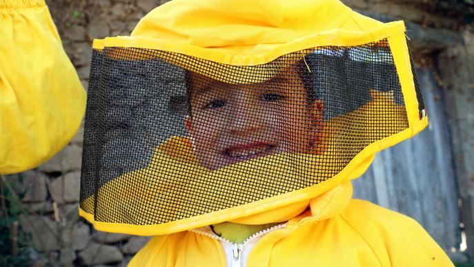 ⏯️ Un centenar d'alumnes traslladen 20.000 abelles des de Viladecans fins a Riner per salvar-les