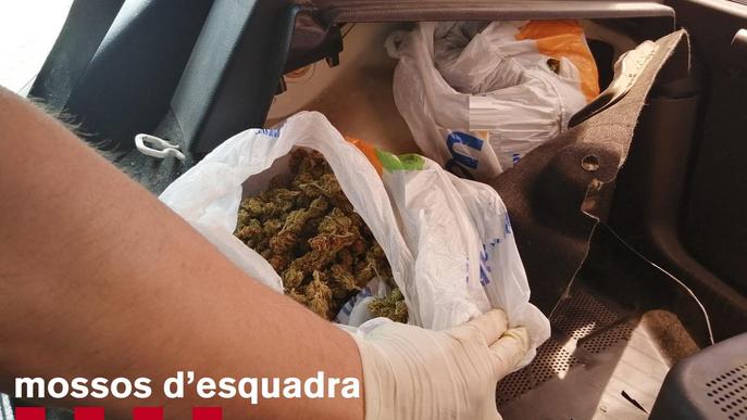 Detingut un veí de Balaguer que amagava dues bosses de marihuana al maleter