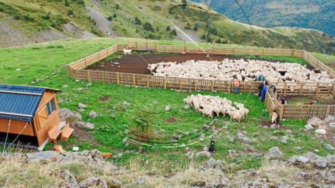 Rialp reclama sortir del Parc de l'Alt Pirineu si no beneficia la ramaderia
