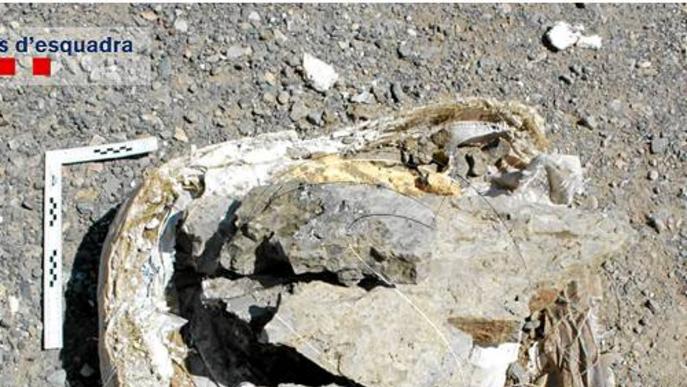 El robatori d'un fòssil de 65 milions d'anys a Coll de Nargó se salda amb sols 90 € de multa