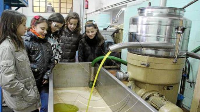 Les cooperatives de la DO Garrigues venen el 70 per cent de l'oli envasat