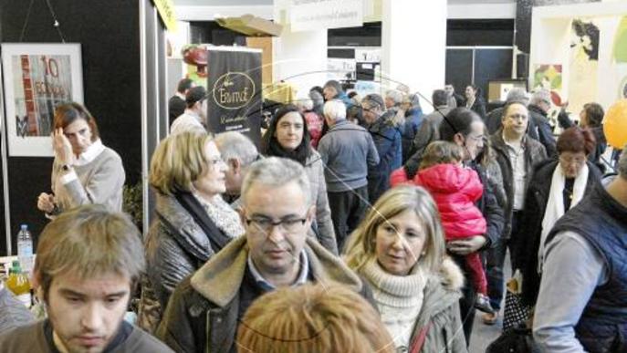 L'oli dóna feina a 1.000 persones a Lleida i allarga la campanya agrària fins als 9 mesos