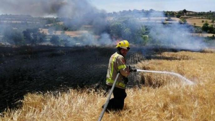 Dos incendis cremen vegetació agrícola a la Segarra i l'Alt Penedès