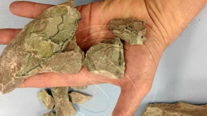 Geòlegs demanen protegir jaciments paleontològics