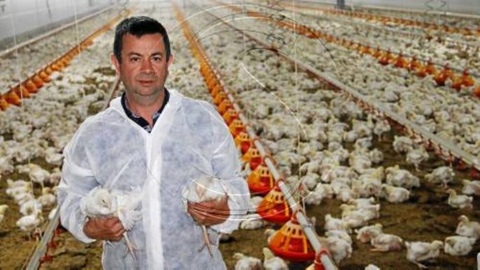 Alcanó allotjarà la granja de pollastres més gran de Lleida, entre les capdavanteres de Catalunya