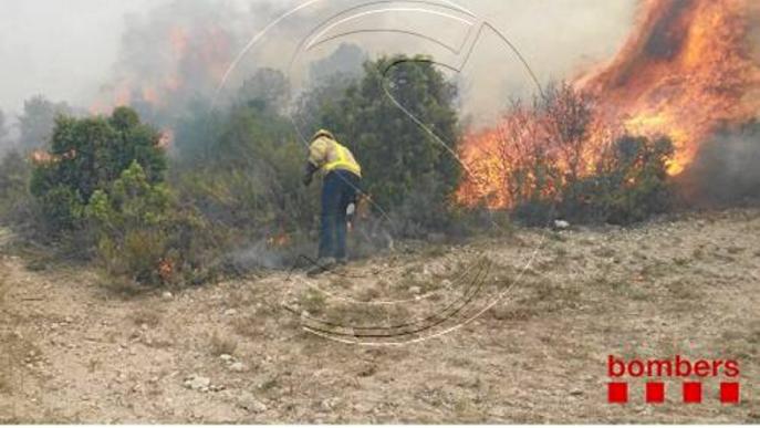 Un incendi causat per un llamp calcina gairebé set hectàrees a Seròs