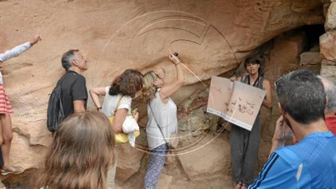 Pintures rupestres del Cogul, una història d'alts i baixos