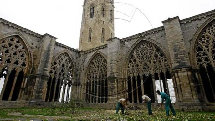 La Seu Vella es posa guapa