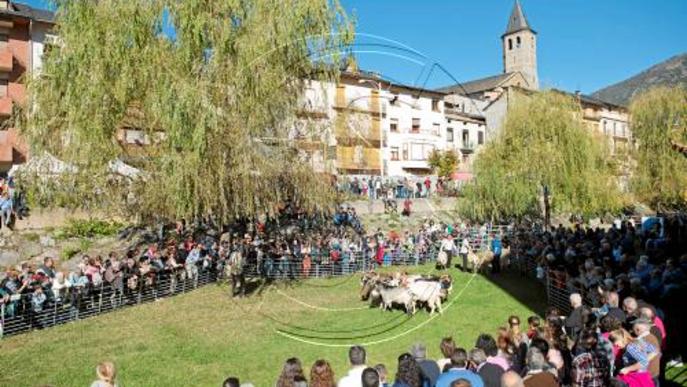 L'ovella xisqueta protagonitza l'últim dia de la Fira de Sort