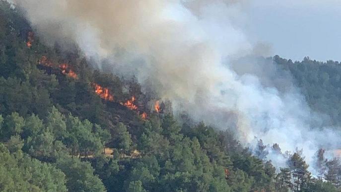 ⏯️ Els bombers estabilitzen un incendi forestal al Solsonès