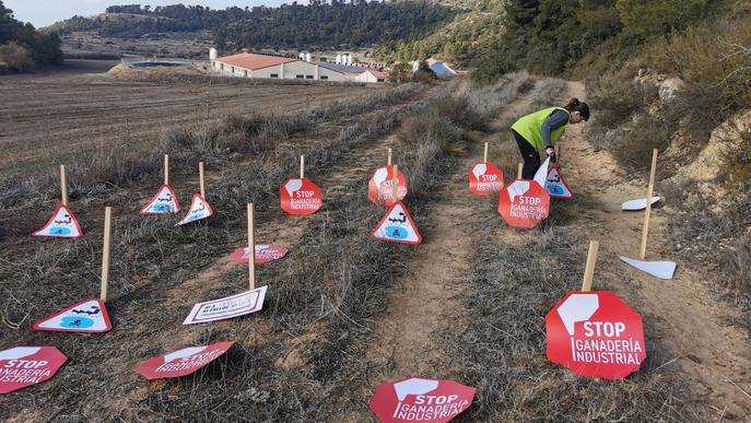 Ipcena denuncia l'actuació d'una macro granja amb més de 3 mil porcs a l'Urgell