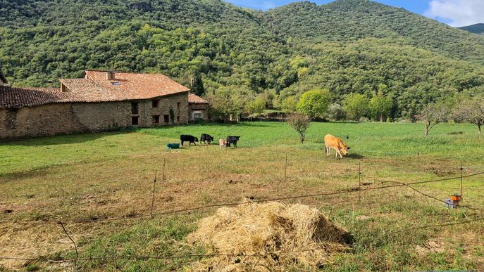⏯️ Creen una cooperativa al Pallars Sobirà per reivindicar l'accés assequible a l'habitatge