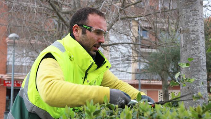 La manca de pluges preocupa al sector de la jardineria per possibles restriccions d'aigua