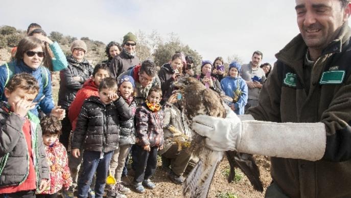 Repoblació forestal i de fauna a Castellserà